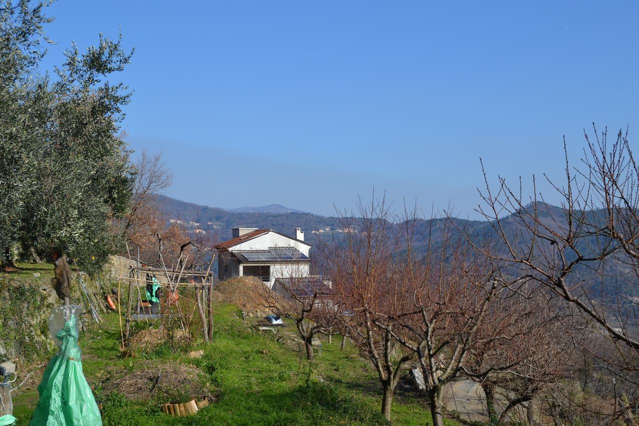 Bed and Breakfast Joie De Vivre Calice Ligure Экстерьер фото